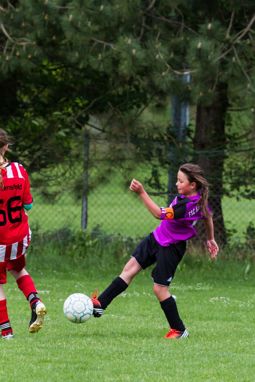 Bild 142 - D-Juniorinnen TuS Tensfeld - FSC Kaltenkirchen : Ergebnis: 1:0